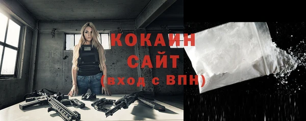 гашик Архангельск