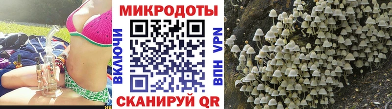 блэк спрут зеркало закладки Альметьевск darknet состав Галлюциногенные грибы Psilocybe