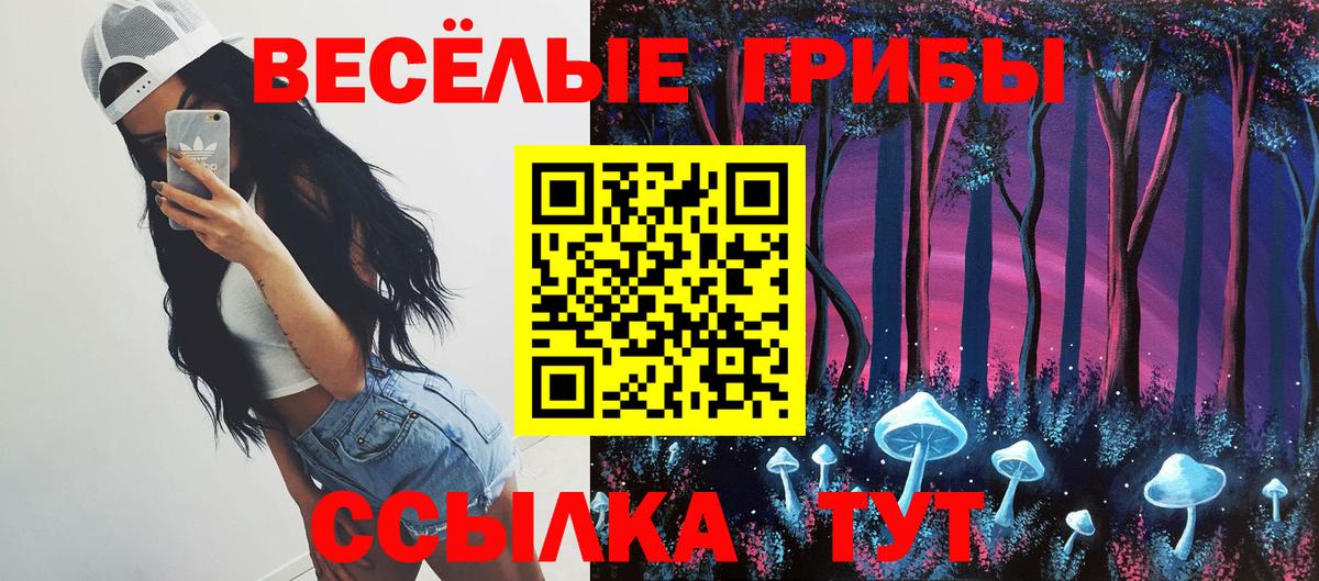 Галлюциногенные грибы мицелий  Альметьевск 