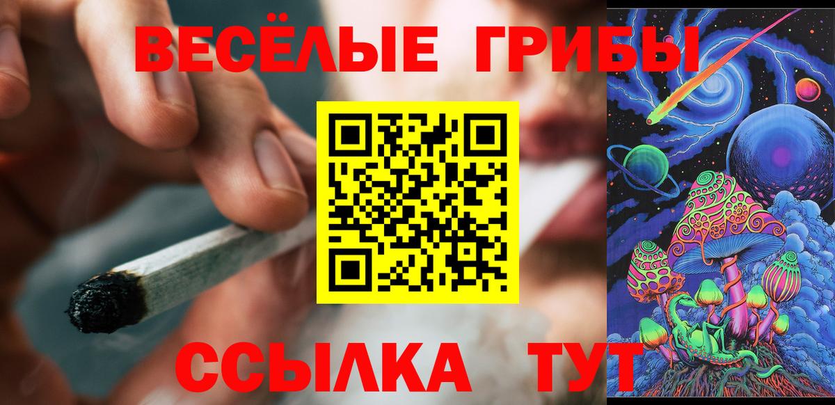 Псилоцибиновые грибы мицелий Альметьевск